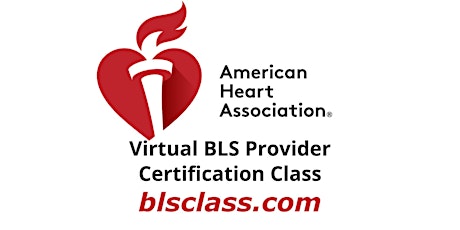 AHA BLS Certification Class - Virtual Training - Grand Rapids, MI