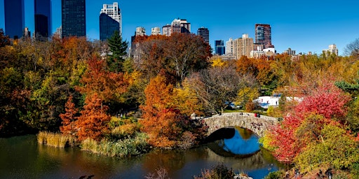 A walking tour to discover the secrets of Central Park