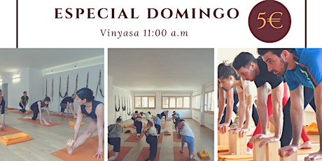Imagen principal de Vinyasa Yoga