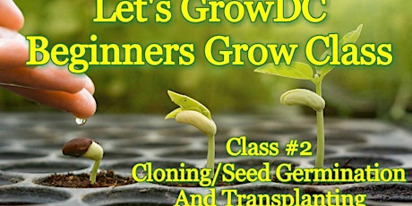 Let's Grow DC! Beginners Grow Course. class #2: Cloning/Seed Germination, and Transplanting primary image