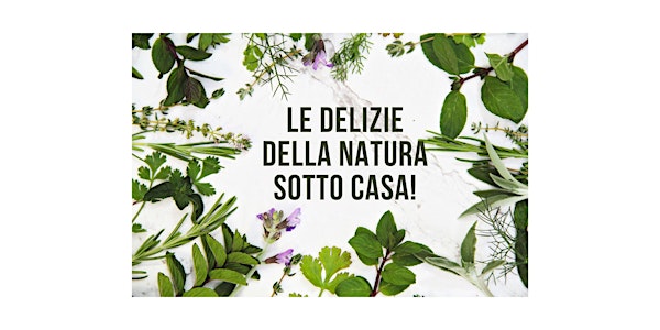 Erbe Spontanee. Le delizie della natura... sotto casa!