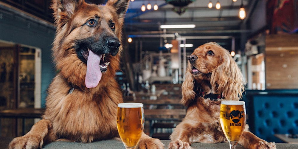Join the interest list for Pints and Pups Singles Matching Event