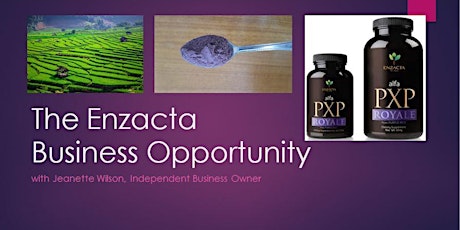 Enzacta Business Meeting primary image
