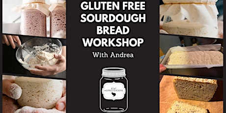 Andrea's Gluten free millet sourdough bread event primary image