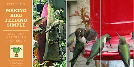 Imagem principal do evento Making bird feeding simple. Like nature does!