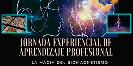Jornada experiencial de trabajo profesional "La magia del Biomagnetismo"