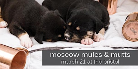 Moscow Mules & Mutts primary image