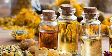 Holistic Remedies for Gut Health: Essential Oils & Herbs