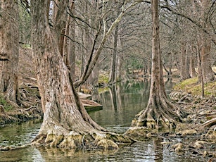 Cypress Creek Watershed Stakeholder Meeting