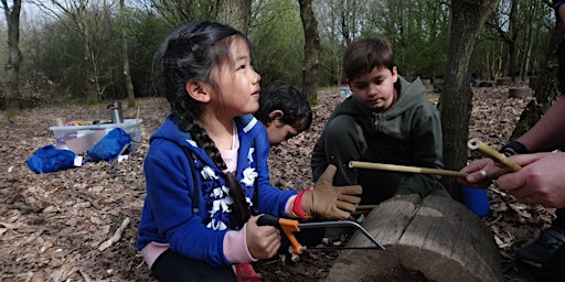 Chigwell Meadows Family Forest Fun (3-10 years)