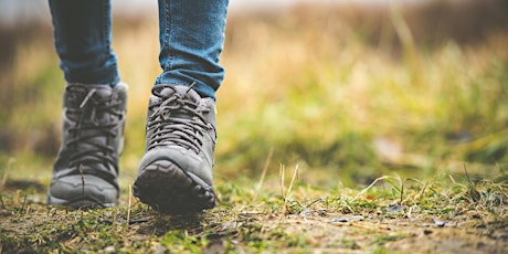 Norfolk Netwalking @ Sheringham Park