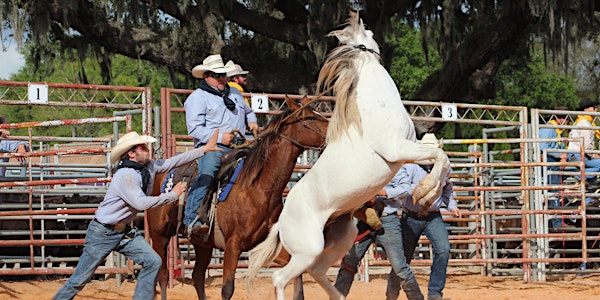 2023 Polk Trade Show and Ranch Rodeo Supporter Opportunities
