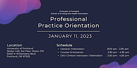 Professional Practice Orientation