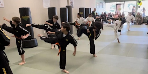 Beginner Martial Arts Workshop