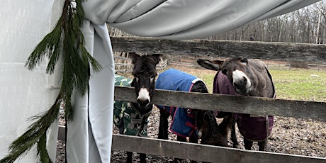 Brunch with Rescue Donkeys