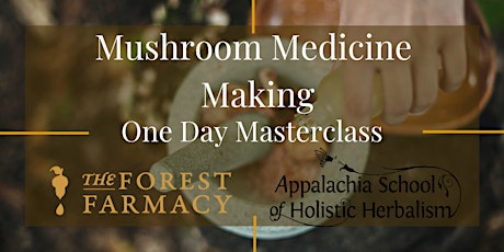 Mushroom Medicine Making Masterclass June