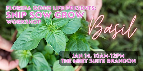 Snip Sow Grow: Basil Workshop