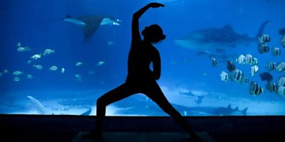 Yoga at the Zoo-Stingray Bay
