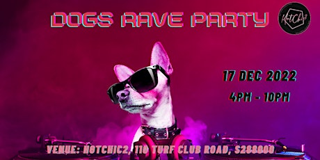 Dogs' Rave Party