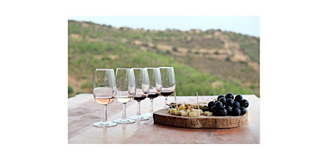 Vino Voyage - Temecula Luxury Wine Tour