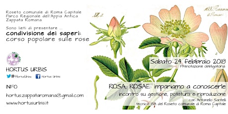 Immagine principale di ROSA, ROSAE - Impariamo a conoscere le rose - IV edizione  