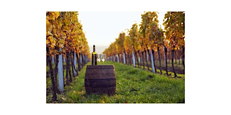 Vino Voyage - Temecula, CA Luxury Wine Tour