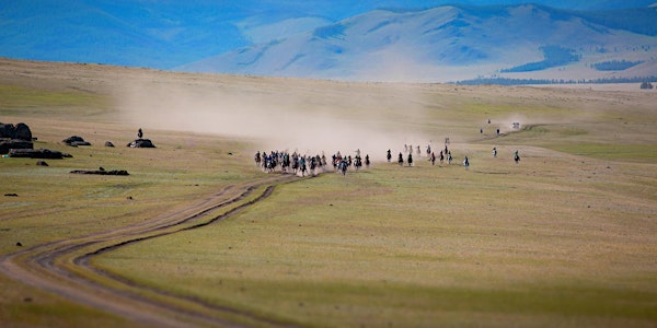 ALL THE WILD HORSES - Feature Doc