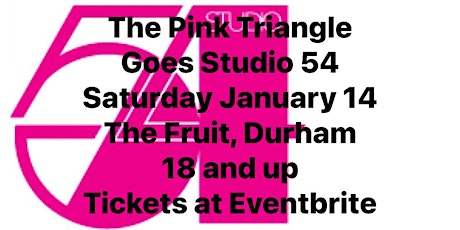 The Pink Triangle Goes Studio 54