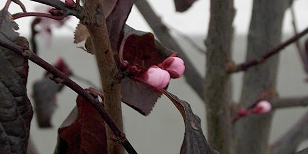 Body Weather Laboratory Presents Flower Of The Season 2018