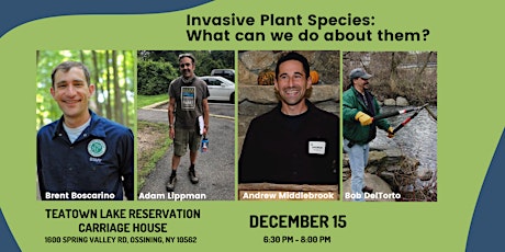 Invasive Plant Species: What can we do about them?