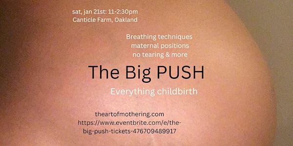 The Big PUSH