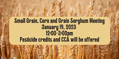 Small Grain, Corn, and Grain Sorghum Meeting