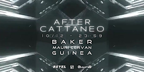 AFTER CATTANEO