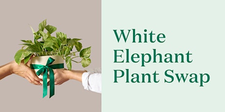 The Sill White Elephant Plant Swap- LA, CA