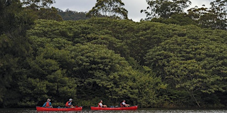 Silver Canoe Expedition (12720), Kangaroo Valley - 15 to 17 April