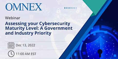 Assessing your Cybersecurity Maturity Level: A Government and Industry Prio