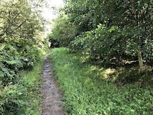 Girley Bog Walk (Meath)