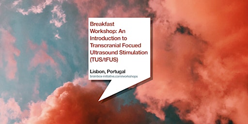 Breakfast Workshop: An Introduction to Transcranial Focused Ultrasound