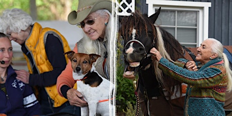 Hauptbild für Linda Tellington-Jones: Exklusives Seminar für Pferde und Hunde, Samstag
