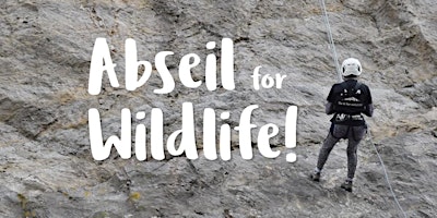 Image principale de Abseil for Wildlife 2024!