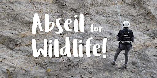 Primaire afbeelding van Abseil for Wildlife 2024!