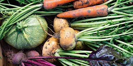 Hauptbild für SOW IT! GROW IT! EAT IT!  Gardening, Permaculture + Good Food - YEAR SERIES