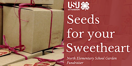 Seeds for Your Sweetheart, Fundraiser primary image