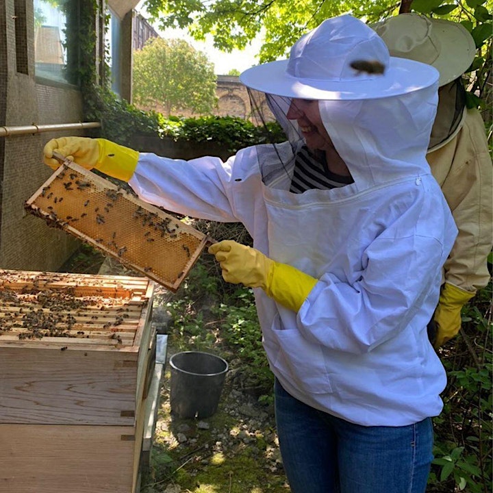 Bee Happy: An Introduction to Bees and Beekeeping image