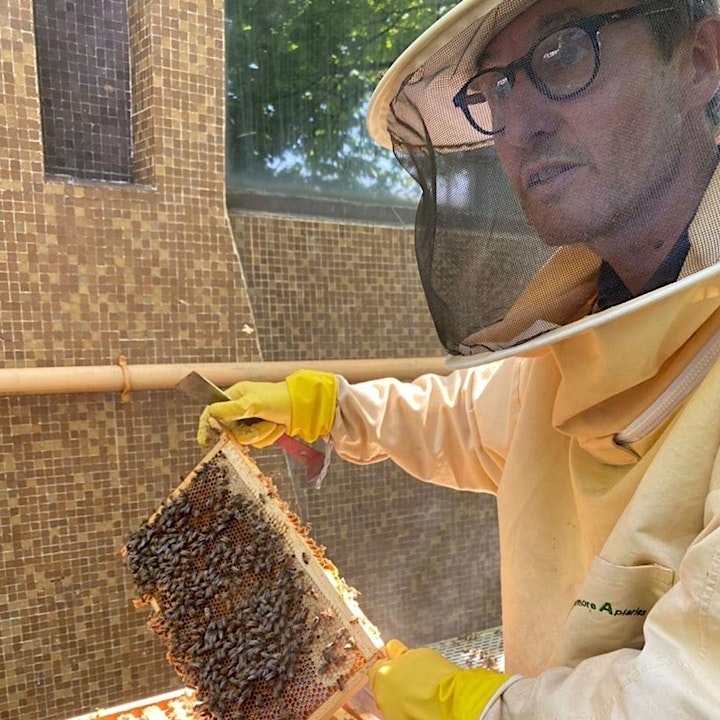 Bee Happy: An Introduction to Bees and Beekeeping image