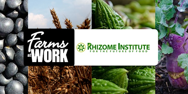 Local Food Business Networking Event
