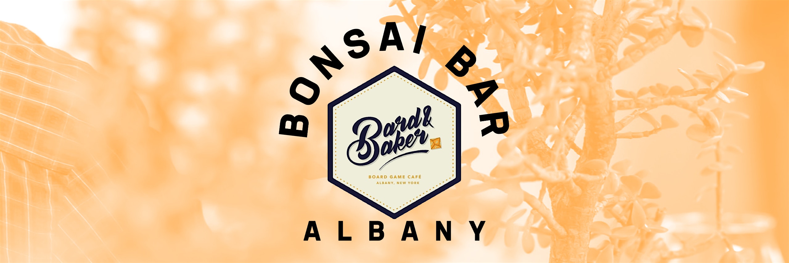 Bonsai Bar @ Bard & Baker: Board Game Café – Albany