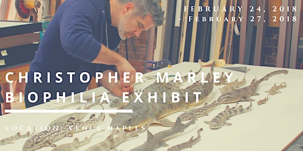 Venue Naples Biophilia Exhibit