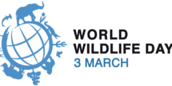 World Wildlife Day Speaker Forum