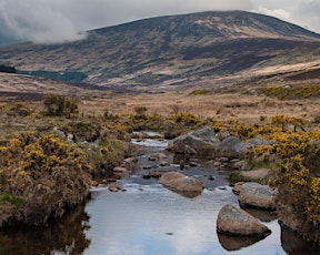 Winter Escape to Wicklow Mountains National Park